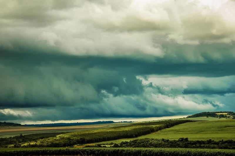 Temporal Exploration